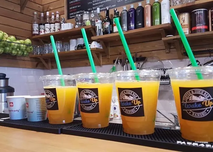 Ski-in Ski-out Fantastic Apartman Banszko